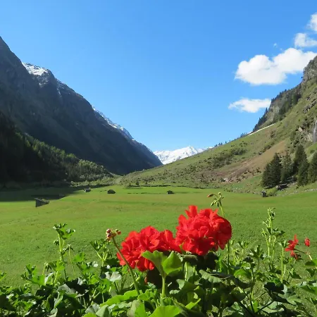 Apartamento Haus Frank Pitztal